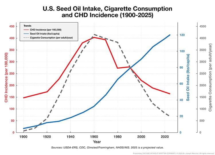 US seed oil intake cigarette consumption chd incidence